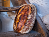 Pane  Bild 1