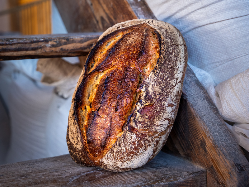 Pane  Bild 1