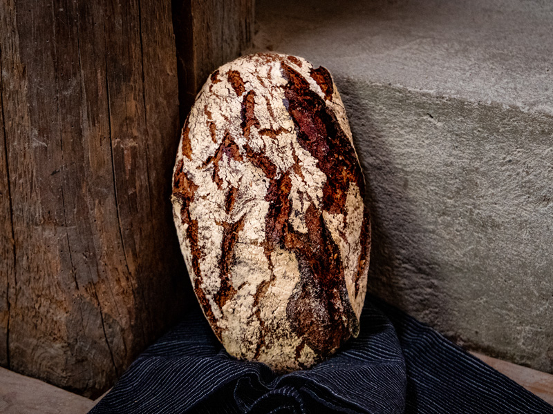 Holzfäller Bild 1